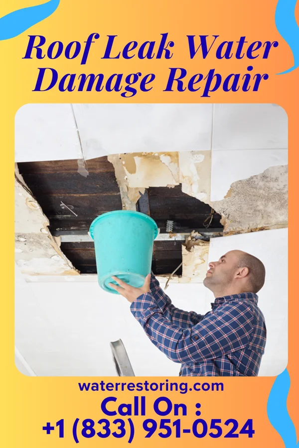 Roof Leak Water Damage Repair in Drakesville, IA