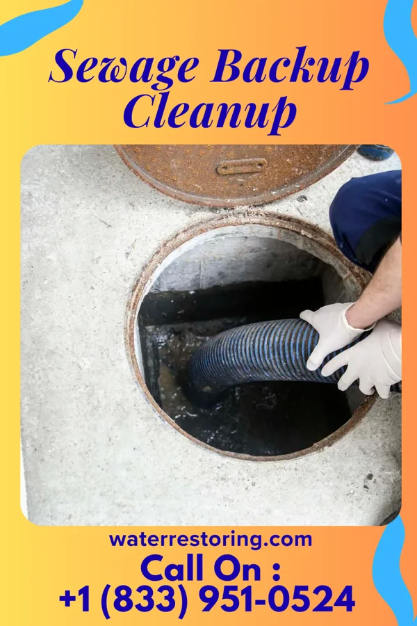 Sewage Backup Cleanup in Drakesville, IA